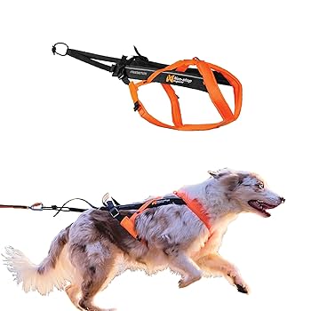 【新品未使用品]Non-stop Freemotion Harness 5.0 Amazon.com : Non-stop dogwear Freemotion Harness 5.0 Dog